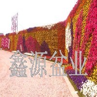 立体绿化工程