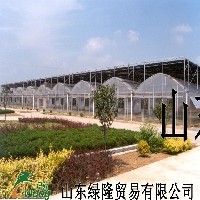 专业建造蔬菜温室大棚图1