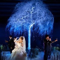 厦门最大婚礼婚庆道具租赁公司推出发光树许愿树