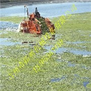 水面水草清理船