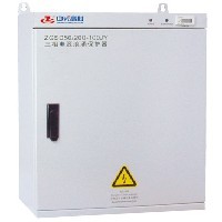 ZGSD100-JY箱式电源浪涌保护器图1