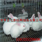 商品兔笼供应商|商品兔笼批发|商品兔笼报