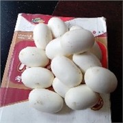 【2013广西水律蛇蛋新品】湖南水律蛇蛋