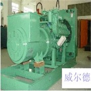 漳州上柴柴油发电机组图1
