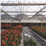 花卉温室建造专家