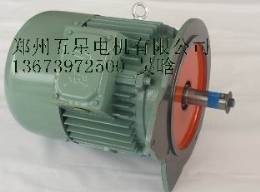 ZD152-锥形电机