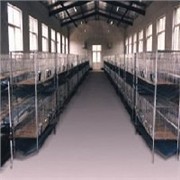 鸽笼、兔笼 优质南宁养殖网