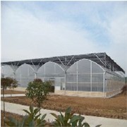 山东玻璃温室建造