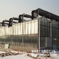 花卉温室建设图1