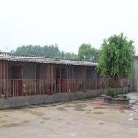 学训犬图1