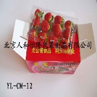 草莓盒|草莓托批发|北京草莓盒-人和怡隆图1