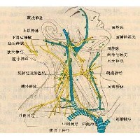 [省工疗疼痛科]洛阳颈椎病|颈椎病预防|洛阳疼痛科|洛阳介入