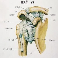 洛阳治疗肩周炎到哪里？河南省工人龙门疗养院疼痛科是您最佳选择图1