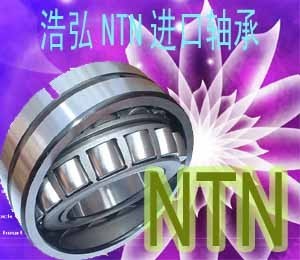 汕尾NTN进口轴承|广州直线轴承