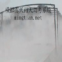 模拟雾天雨天驾考系统图1