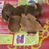 广西灵芝批发|野生斑褐孔菌可治疗冠心病
