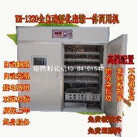 双温双控山鸡鸡鸭鹅孵化机孔雀卵化机图1