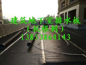 建筑排水板/地下室专用抗压防水排图1