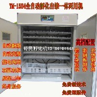 双温双控孵化机卵化器图1