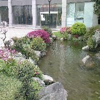 四川私家庭院设计公司 四川景观设计服务 莹光景观