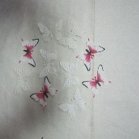 纸蝴蝶花片