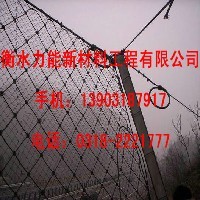 公路边坡防护网图1