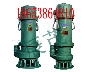 BQS10-28/2.2KW水泵图1