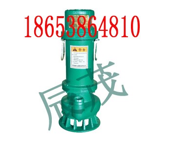 BQS15-25/3KW防爆电泵图1