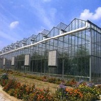 玻璃智能连栋温室建设