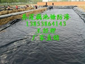 现代养莲藕池塘选用防渗防水土工膜