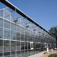 青州明增建造智能日光温室大棚！