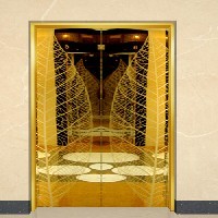 不锈钢电梯厅门装饰板TLDTM003