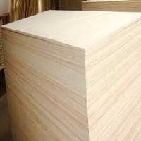 建筑模板木材