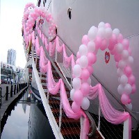 青岛海上游艇婚礼图1