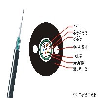 皮线光缆图1