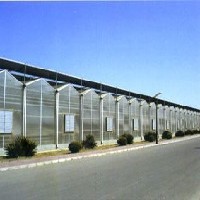 大型玻璃连栋温室