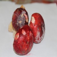 厦门新鲜红菇