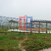 蔬菜观光园建设