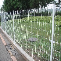双边丝护栏网