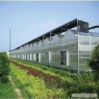 青州温室大棚建设