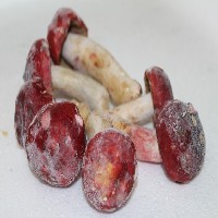 厦门新鲜红菇