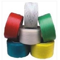 南宁林峰塑料专业生产超薄打包带