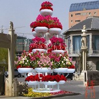 花架图1