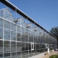 玻璃智能连栋温室建设图1