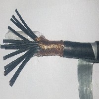 钢带铠装屏蔽控制电缆KVVP22图1