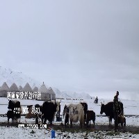 中国三大名玉—新疆和田玉图1