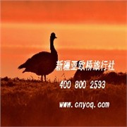 乌鲁木齐——富蕴县——可可托海风景区 【新疆旅游局】图1