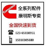 cummins 康明斯 配件图1