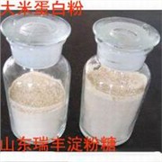 大米蛋白粉厂家供应