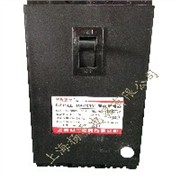 DZ15LE-100/390漏电断路器